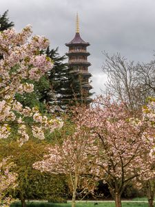 Preview wallpaper pagoda, tower, trees, flowers, sakura, spring