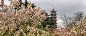 Preview wallpaper pagoda, tower, trees, flowers, sakura, spring