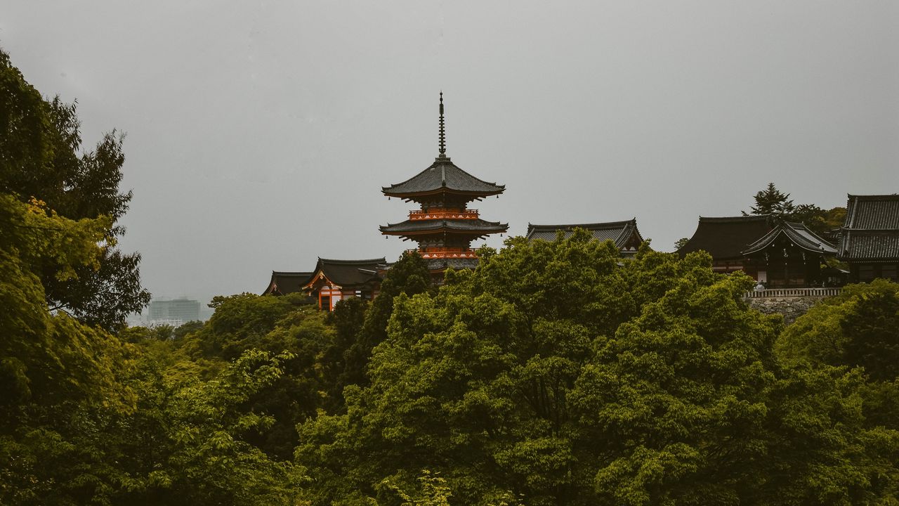 Wallpaper pagoda, trees, architecture, kyoto prefecture, japan