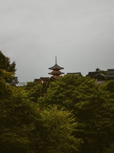 Preview wallpaper pagoda, trees, architecture, kyoto prefecture, japan