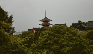 Preview wallpaper pagoda, trees, architecture, kyoto prefecture, japan