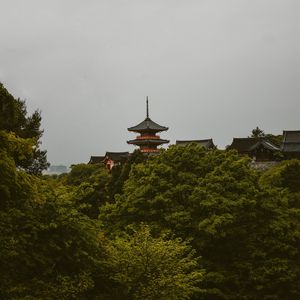 Preview wallpaper pagoda, trees, architecture, kyoto prefecture, japan