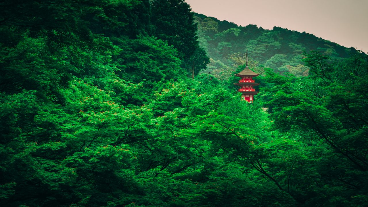Wallpaper pagoda, trees, forest