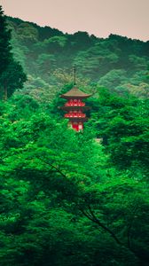 Preview wallpaper pagoda, trees, forest