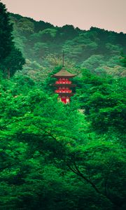 Preview wallpaper pagoda, trees, forest