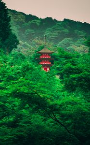 Preview wallpaper pagoda, trees, forest