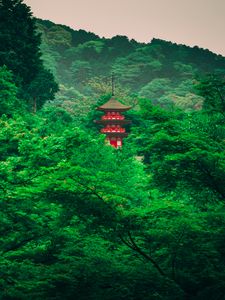 Preview wallpaper pagoda, trees, forest