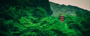 Preview wallpaper pagoda, trees, forest