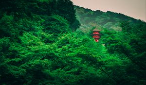 Preview wallpaper pagoda, trees, forest