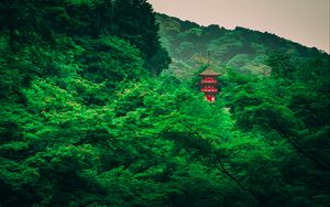 Preview wallpaper pagoda, trees, forest