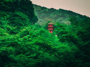 Preview wallpaper pagoda, trees, forest