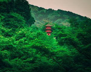 Preview wallpaper pagoda, trees, forest