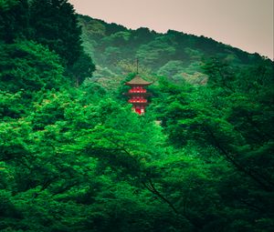 Preview wallpaper pagoda, trees, forest