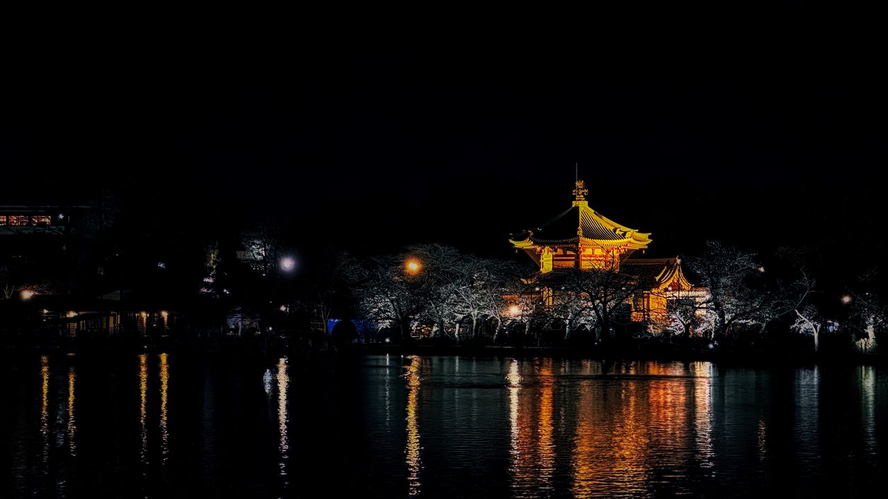 Wallpaper pagoda, trees, lights, pond, night, dark