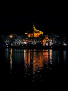 Preview wallpaper pagoda, trees, lights, pond, night, dark