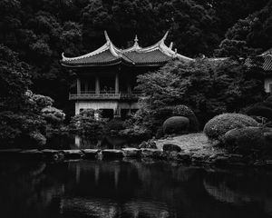 Preview wallpaper pagoda, trees, pond, nature, japan