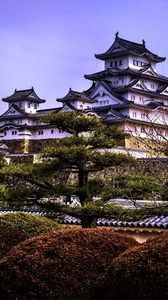 Preview wallpaper pagodas, architecture, trees, asia