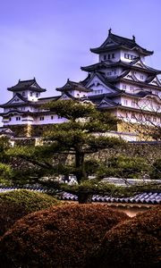 Preview wallpaper pagodas, architecture, trees, asia