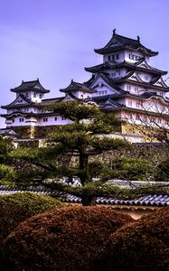 Preview wallpaper pagodas, architecture, trees, asia