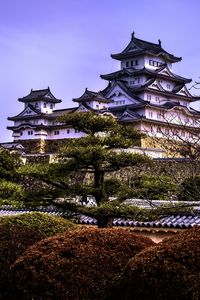 Preview wallpaper pagodas, architecture, trees, asia