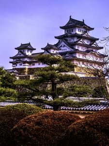 Preview wallpaper pagodas, architecture, trees, asia