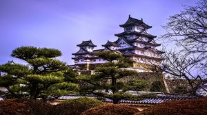 Preview wallpaper pagodas, architecture, trees, asia