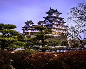 Preview wallpaper pagodas, architecture, trees, asia