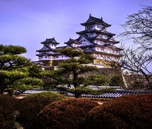 Preview wallpaper pagodas, architecture, trees, asia