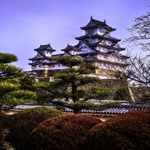 Preview wallpaper pagodas, architecture, trees, asia