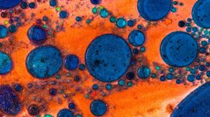 Preview wallpaper paint, liquid, drops, colorful, macro