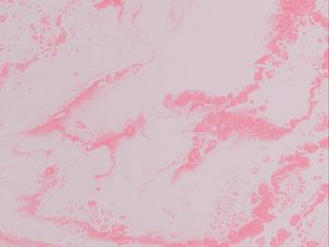 Preview wallpaper paint, liquid, spots, stains, fluid art, pink