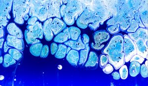 Preview wallpaper paint, liquid, stains, blue, abstraction