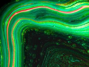 Preview wallpaper paint, liquid, stains, macro, abstraction, green