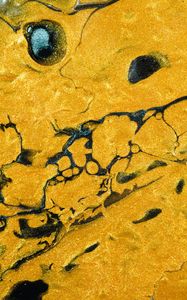 Preview wallpaper paint, liquid, stains, abstraction, yellow, black