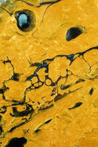 Preview wallpaper paint, liquid, stains, abstraction, yellow, black