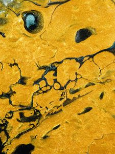 Preview wallpaper paint, liquid, stains, abstraction, yellow, black