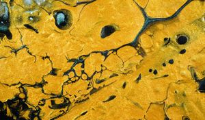 Preview wallpaper paint, liquid, stains, abstraction, yellow, black