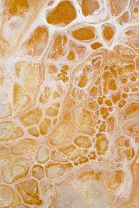 Preview wallpaper paint, liquid, stains, abstraction, yellow