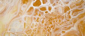 Preview wallpaper paint, liquid, stains, abstraction, yellow