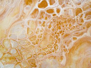 Preview wallpaper paint, liquid, stains, abstraction, yellow