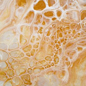 Preview wallpaper paint, liquid, stains, abstraction, yellow