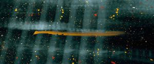 Preview wallpaper paint, splashes, blur, glass, distortion