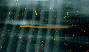 Preview wallpaper paint, splashes, blur, glass, distortion