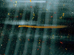 Preview wallpaper paint, splashes, blur, glass, distortion