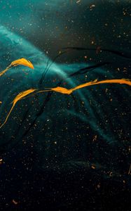 Preview wallpaper paint, splashes, stains, blur, glass