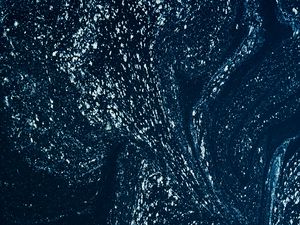 Preview wallpaper paint, spots, dots, liquid, blue