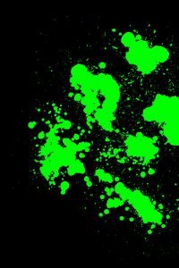 Preview wallpaper paint, spots, green, abstraction