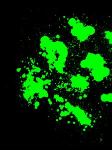 Preview wallpaper paint, spots, green, abstraction