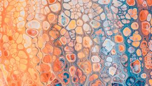 Preview wallpaper paint, stains, bubbles, surface