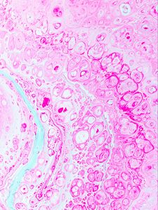 Preview wallpaper paint, stains, bubbles, liquid, pink